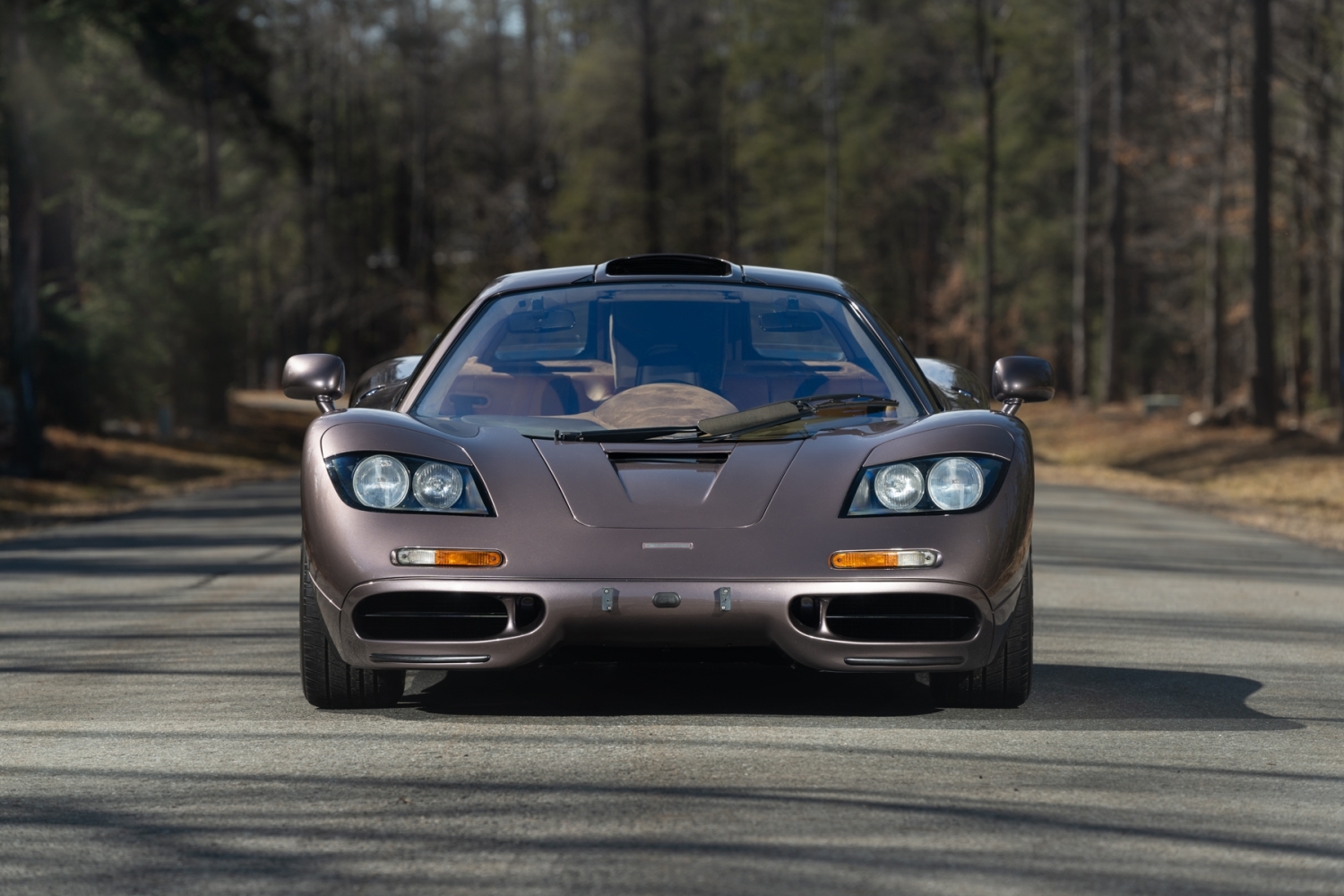 Small-13482-McLarenF1ImagescourtesyandcopyrightofGoodingCompany.PhotosMikeMaez-1.jpg
